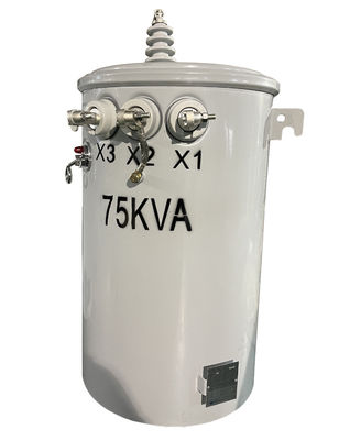 75KVA 막대기는 지성 트랜스 7620V 13200V 단일 상을 탑재했습니다