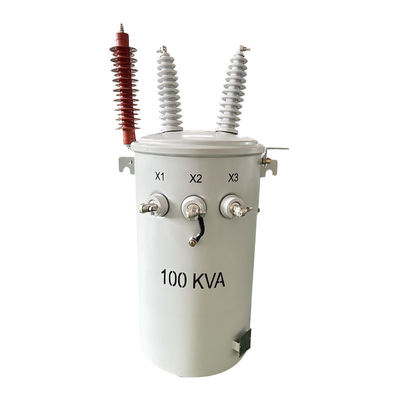 167 KVA 단일 단계 전구 장착 변압기 전원 35KV ANSI / IEEE 표준 C57.12.20